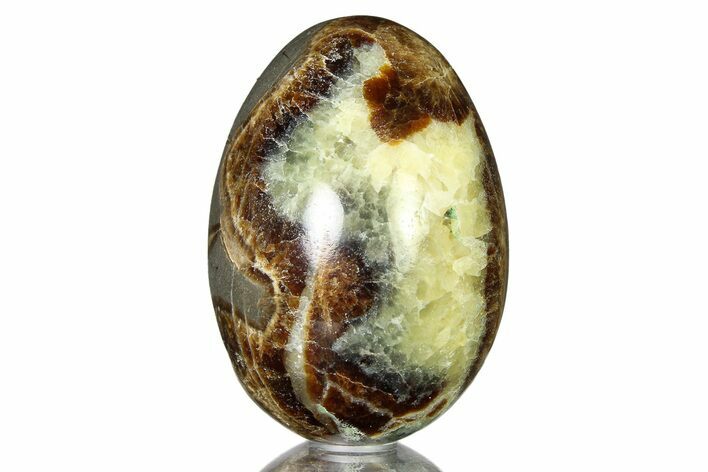 Calcite Crystal Filled Septarian Egg - Utah #322352